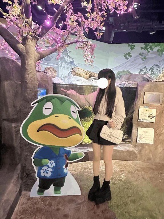 あつ森コラボ行ってきた🎶💗💗