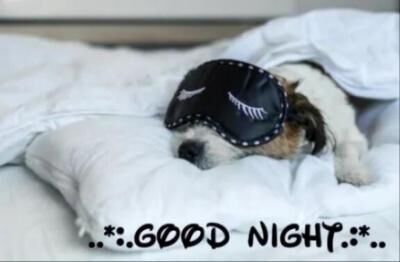 ＊おやすみなさい＊