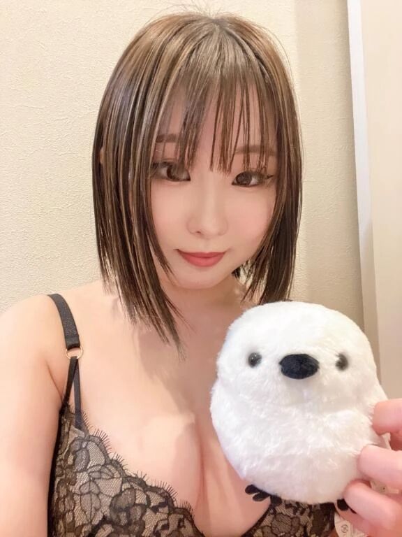 シマエナガのぬいぐるみかわいい😍