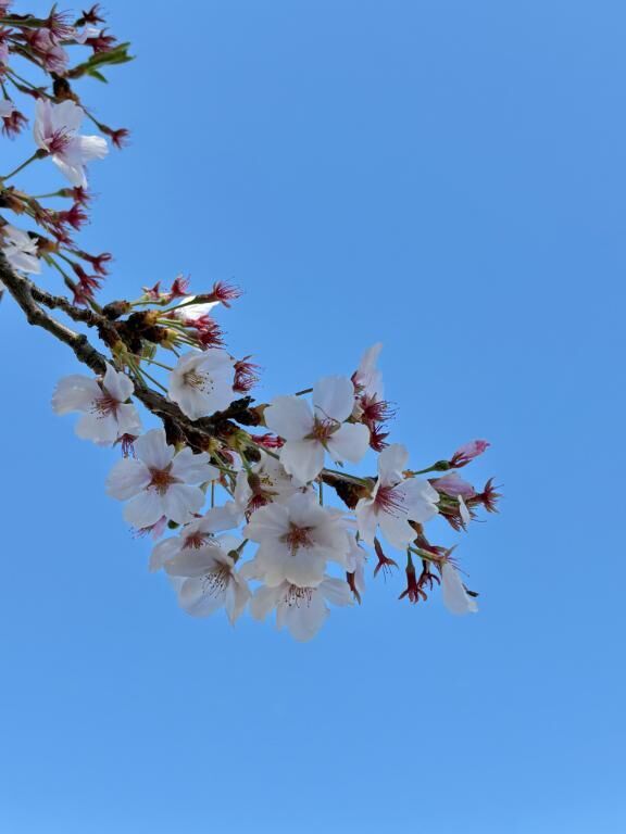 出勤しました♡