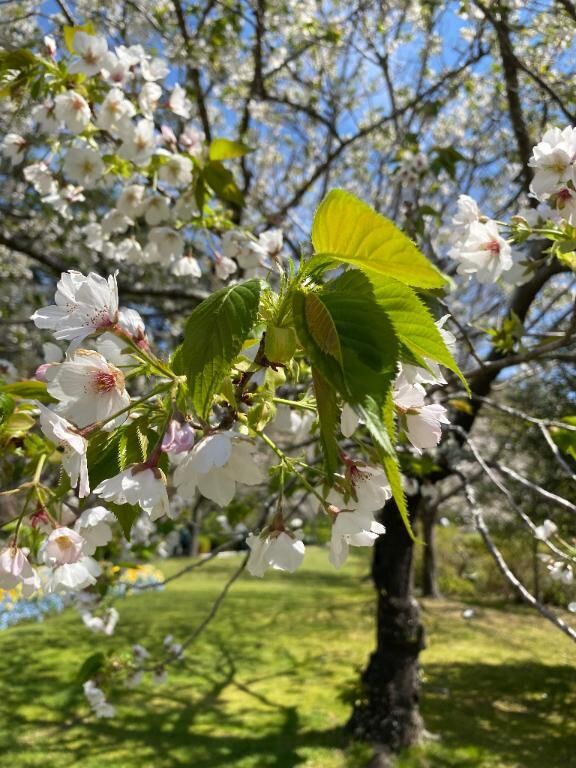 昨日　レギャン仲良し様
