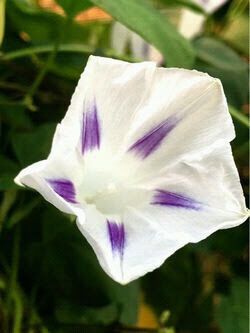 エッチな時間♡