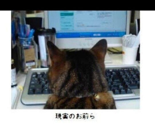 えれな -本気アピってるときのストーカーの姿勢。⊂( ・ω・)⊃ﾌﾞｰﾝ😌🌸