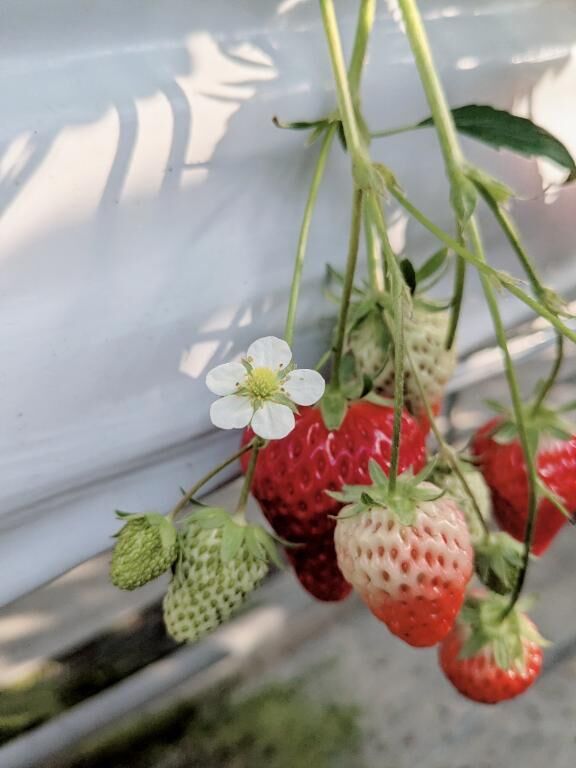 起きてる人ー！♡