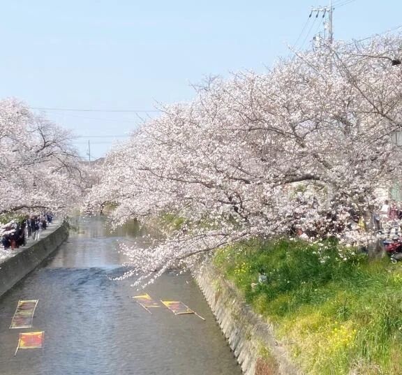 今月のシフト🐣