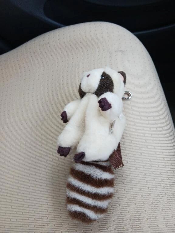 おはようございます。