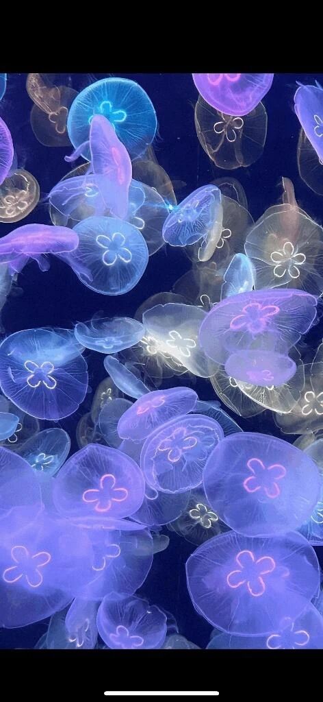 たのしかったね！！