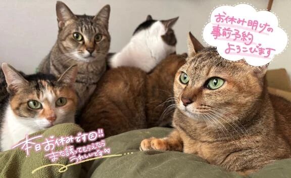 ゴロゴロ꜀(.௰. ꜆)꜄