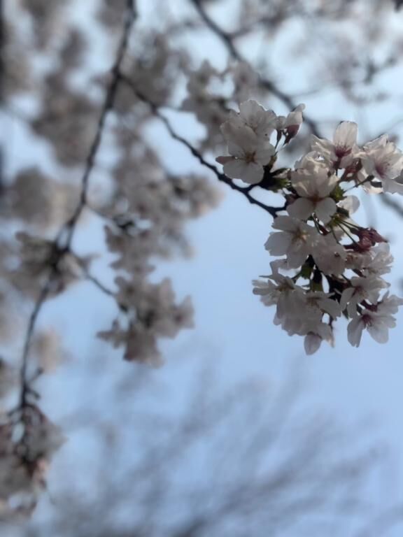    お久しぶりです♡♡