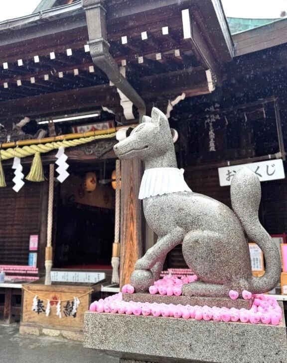 スポーツ三昧( ◠‿◠ )