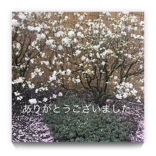 ありがとうございました