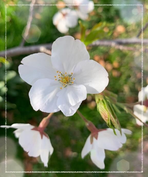 穏やかな土曜日♡