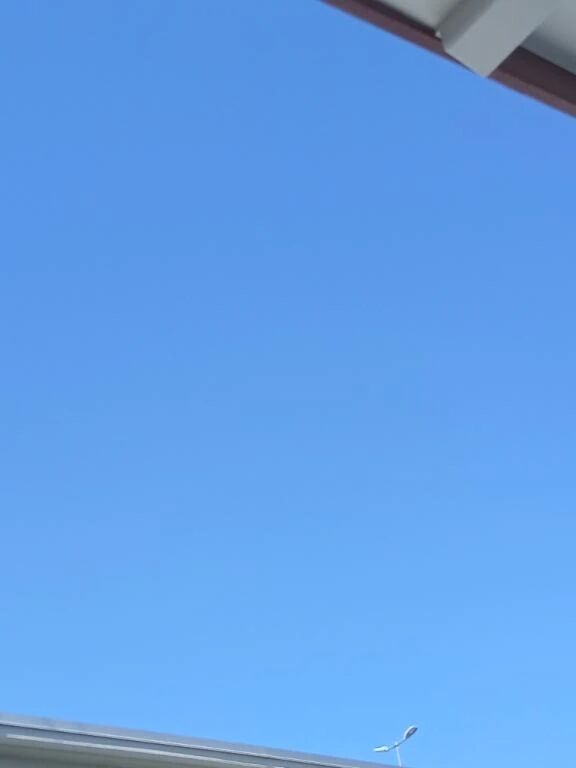 ☆今日は暑くて空が青い☆