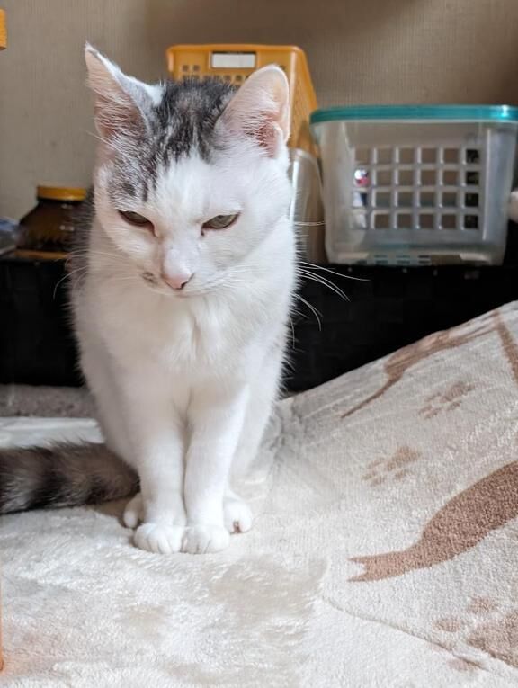 お休み入ります