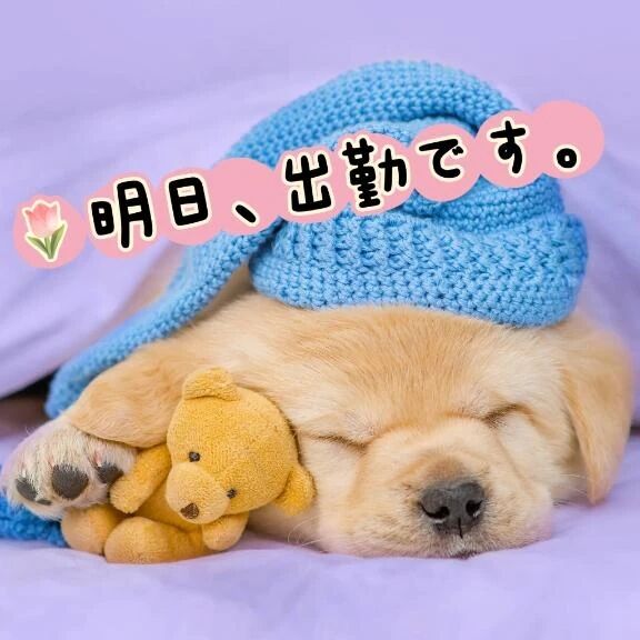 おやすみなさい