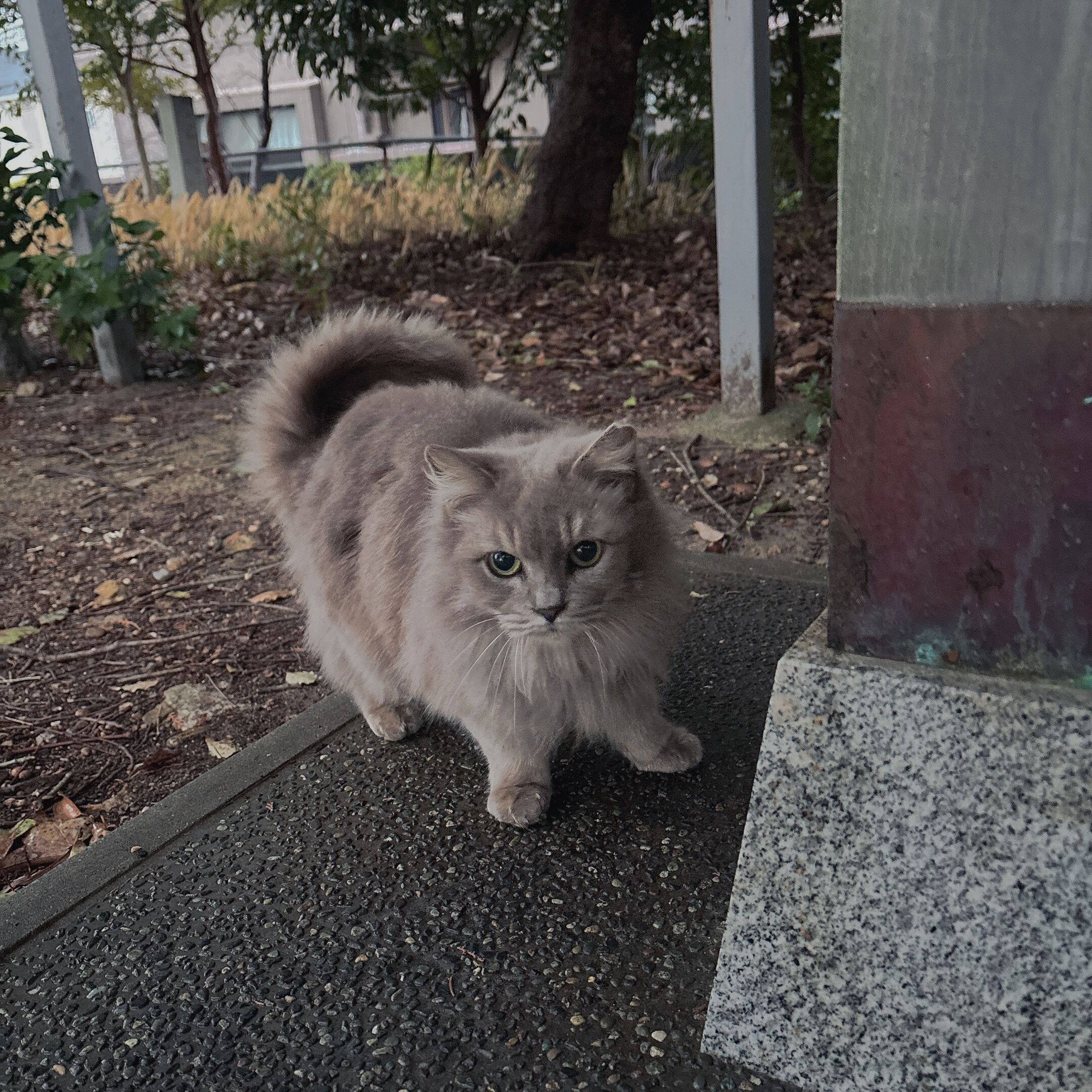 今日は出勤します