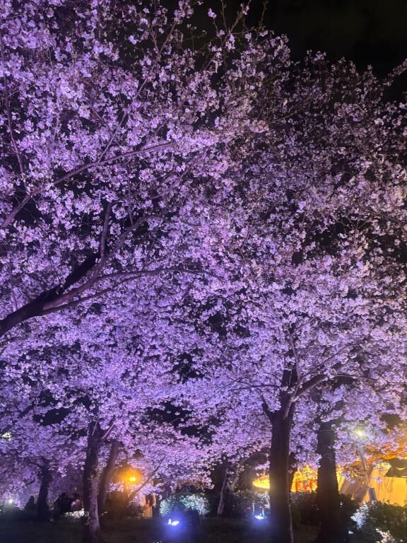 おはようございます