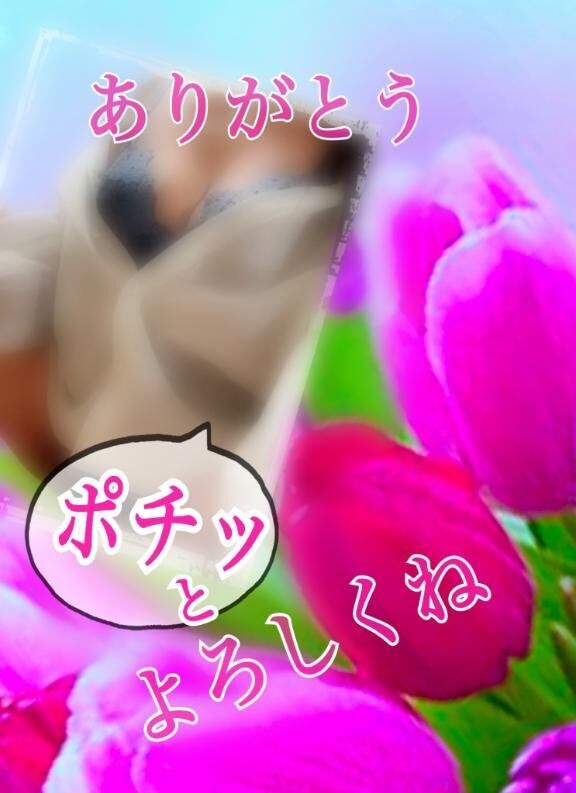 しゅっきん