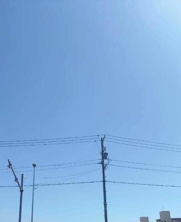 今日は…