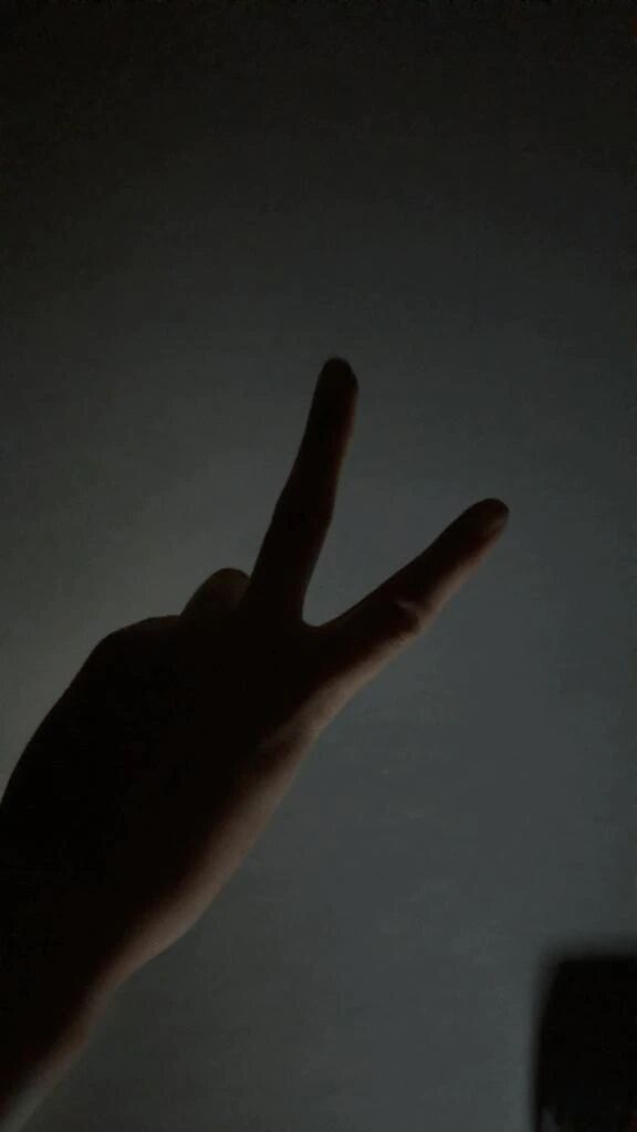 おやすみなさい🌙