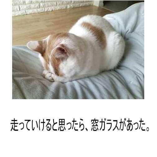 出勤しました♡