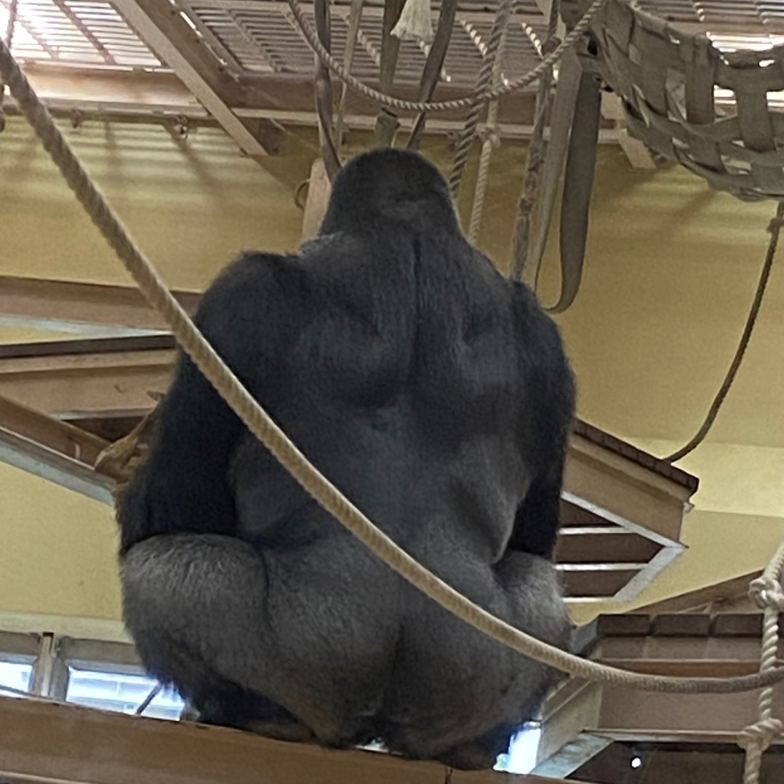 ラブボート新栄