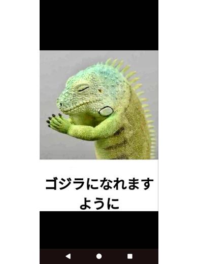 あんじぇら（一宮発）