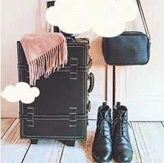 美女セレクション