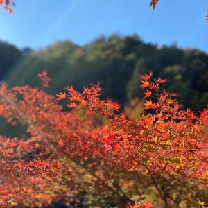 ラブボート新栄