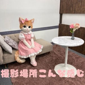 性熟カップル～60代からの営み～