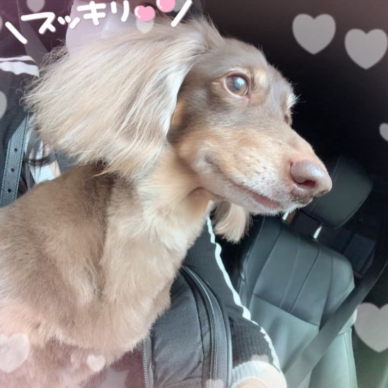 ラブボート新栄