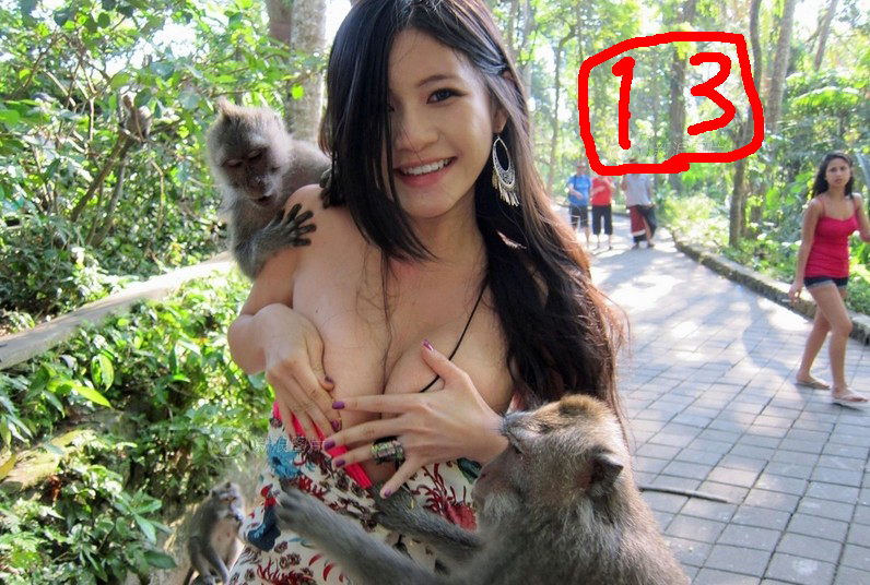 テスト test-⑬さん