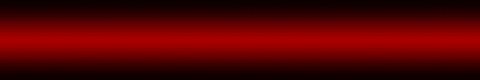 image2.gif