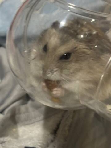 image0.jpeg