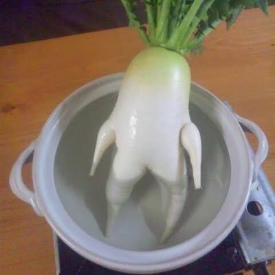 image0.jpeg