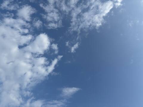 image1.jpeg