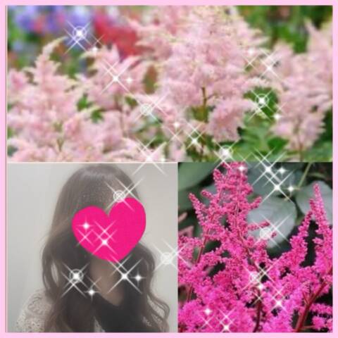 image0.jpeg