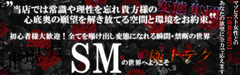 絶対服従調教 acme