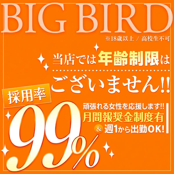 ビッグバード