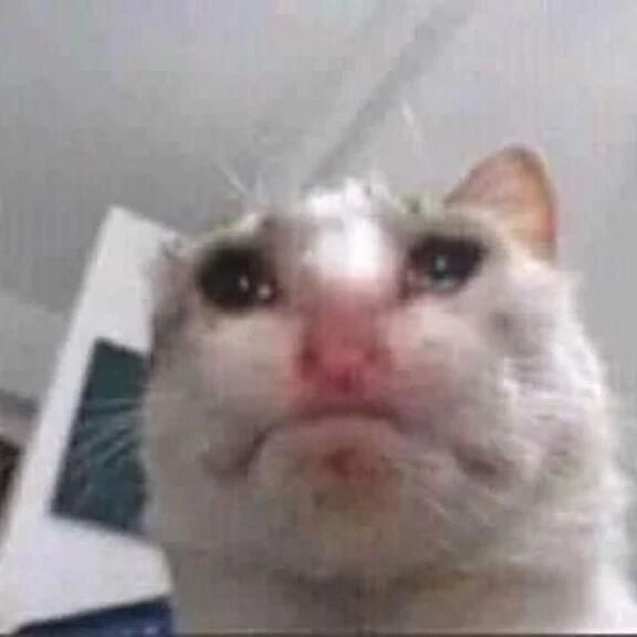 ラスト1️⃣枠👩🏻&zwj;❤️&zwj;👨🏻🤍 - みき