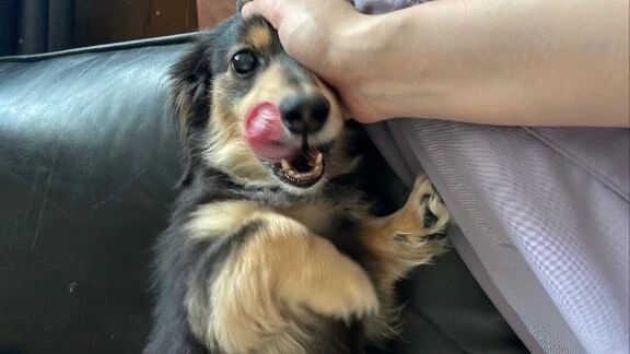 おはよ&#x301C; - みさ