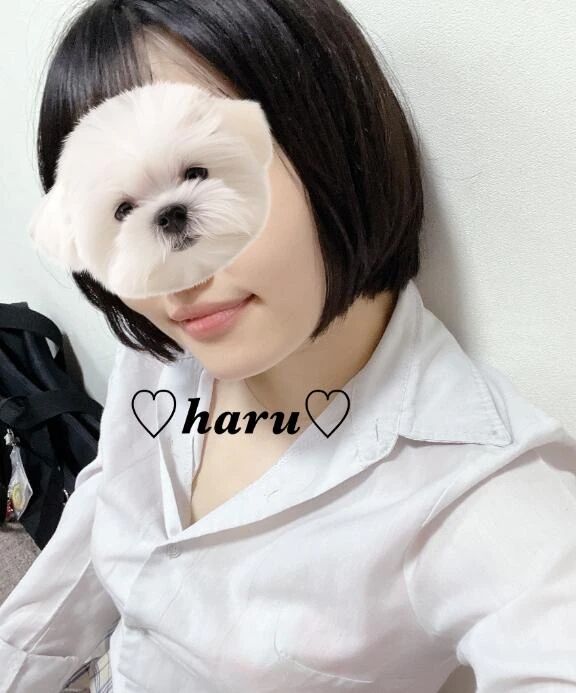 ２月のぺろ神！ - はる