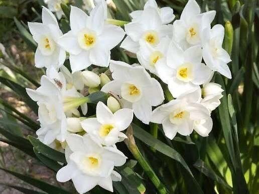 おはようございます - みなみ