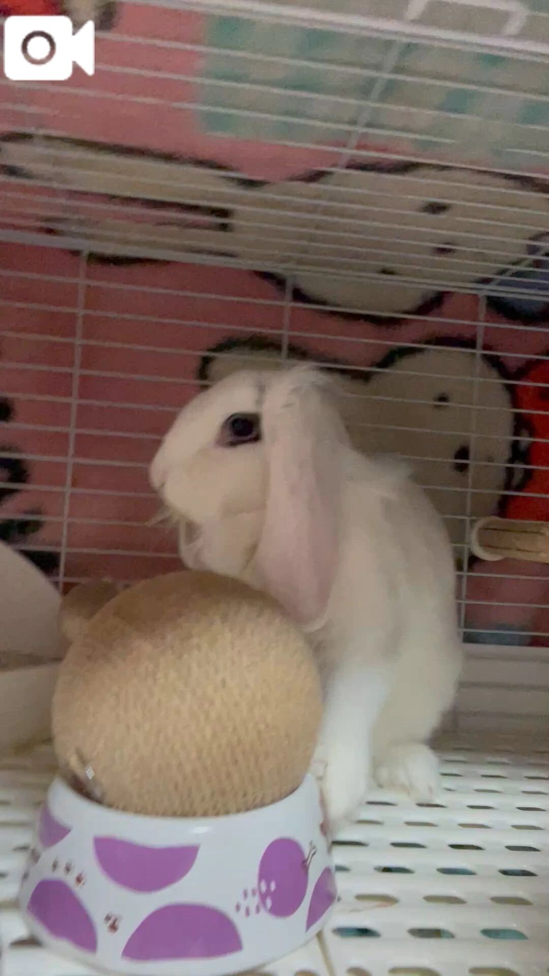 こんな時間に!!😳 - なな