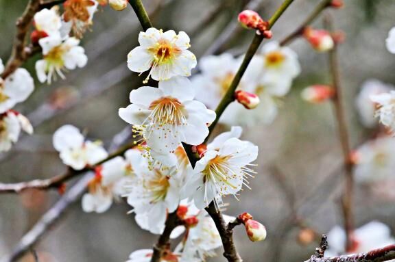 おはようございます - みなみ