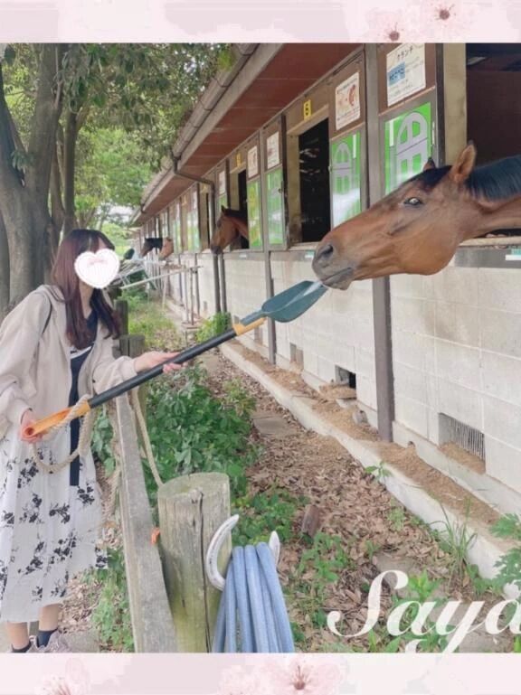 がみがみ🐎 - SAYA【さや】