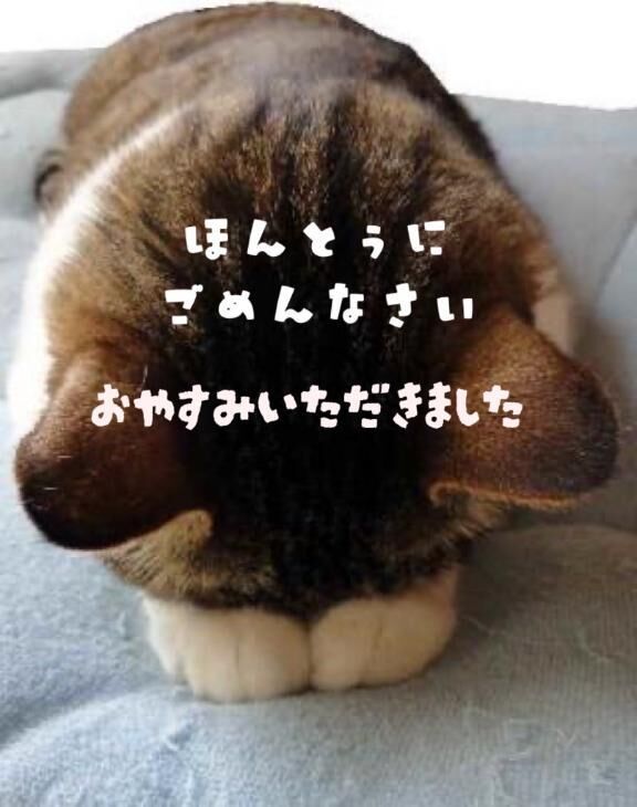 おやすみいただきました - さくら